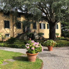 Villa Leoni Capannori